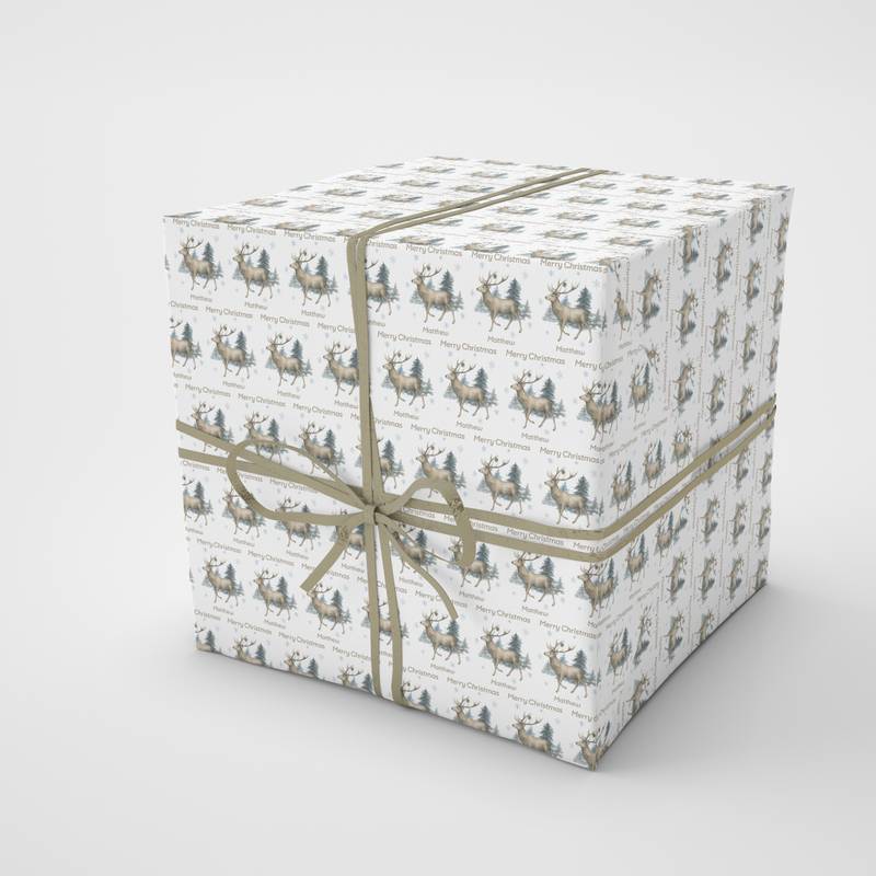 christmas present